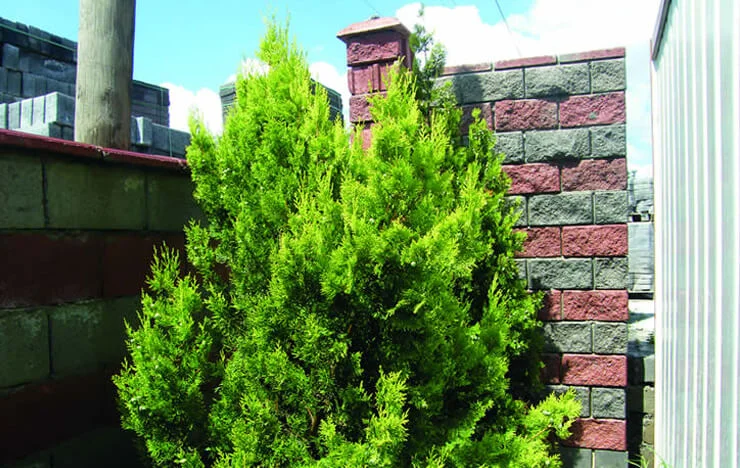 Kırma Blok Duvar Taşı